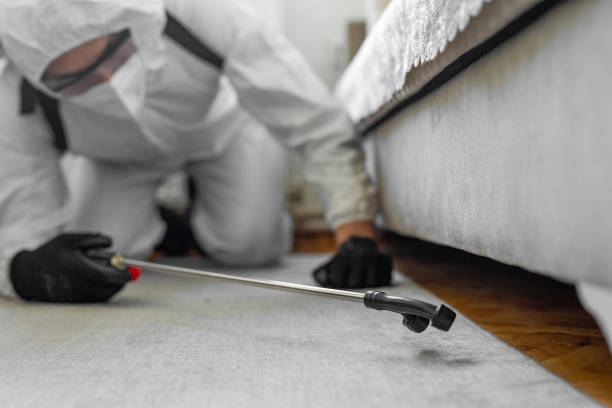 Professional Bed Bug Control technician working in Creedmoor, NC